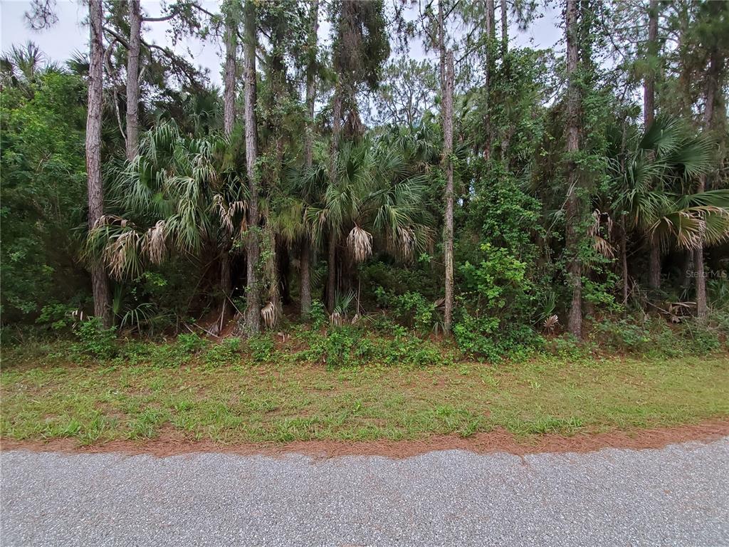 Image 2 of 2 For 11325 Oceanspray Boulevard