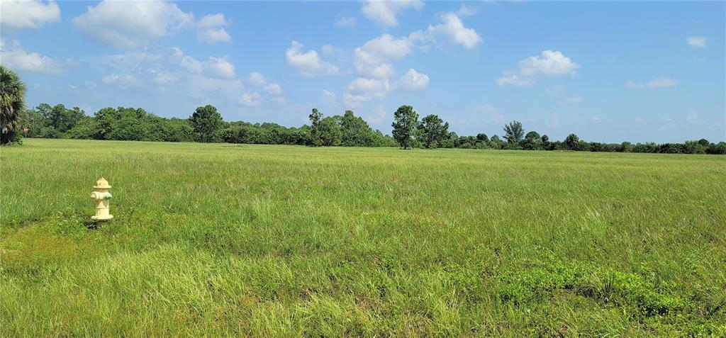 Image 5 of 7 For 12098 & 12106 Salitpa Court