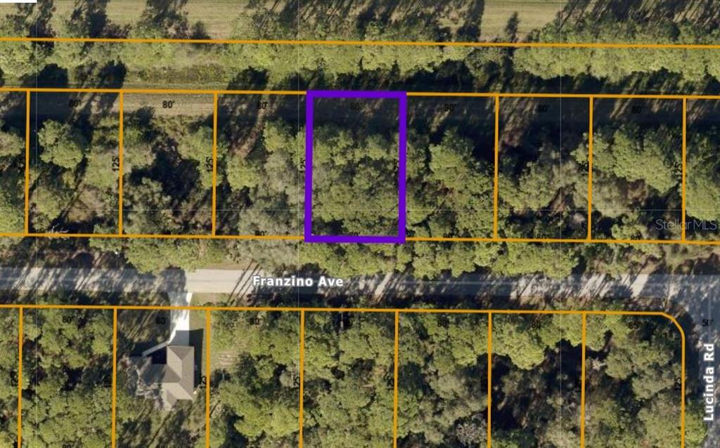 Details for Franzino Avenue, NORTH PORT, FL 34291