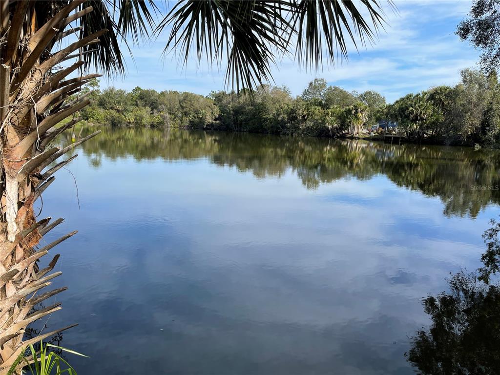 Details for 12152 Borax Avenue, PUNTA GORDA, FL 33955