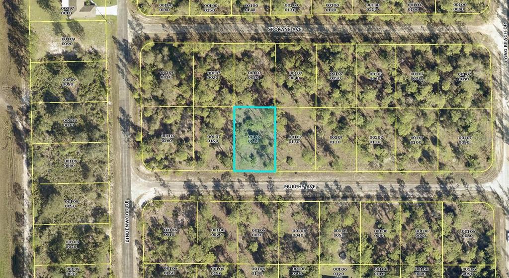 Listing Details for 310 Murphy Avenue, LEHIGH ACRES, FL 33972