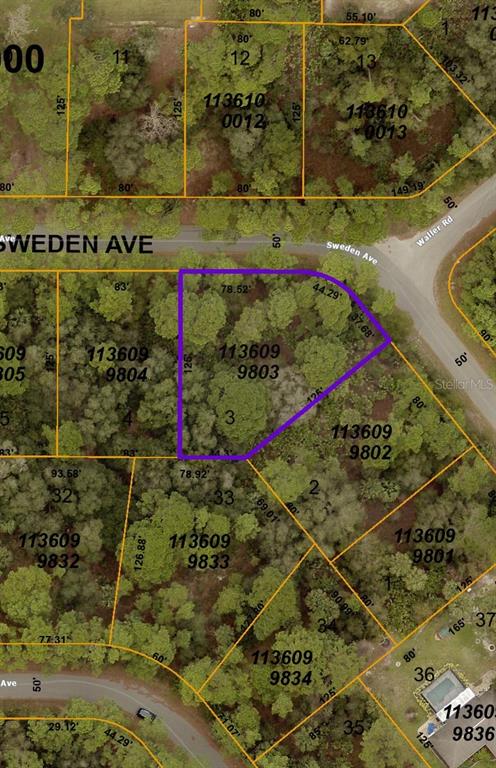 Listing Details for Sweden Avenue, NORTH PORT, FL 34288