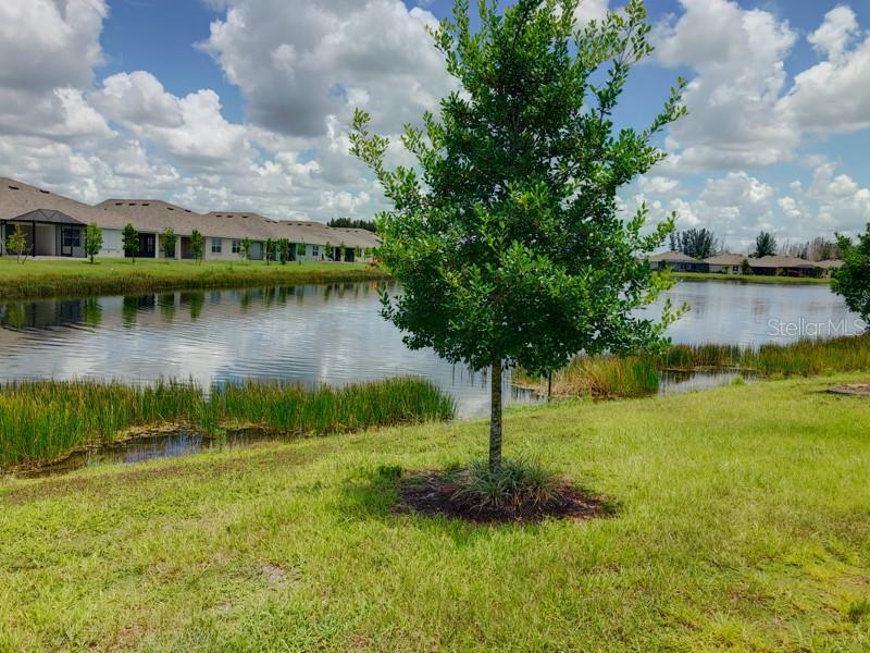 Image 14 of 22 For 7048 Crystal Way