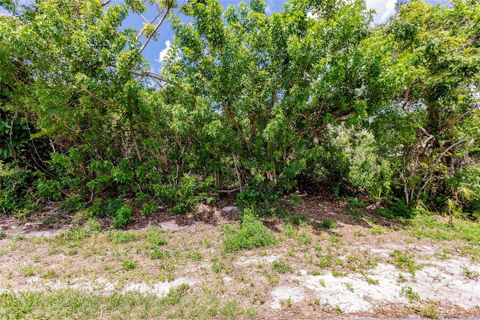 Image 5 of 10 For 2113 Wonderwin Street