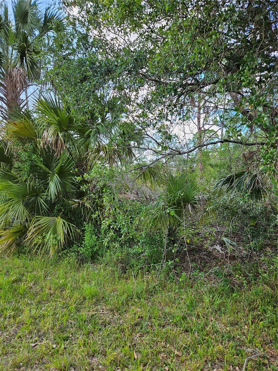 Details for Rentscher Avenue, NORTH PORT, FL 34291