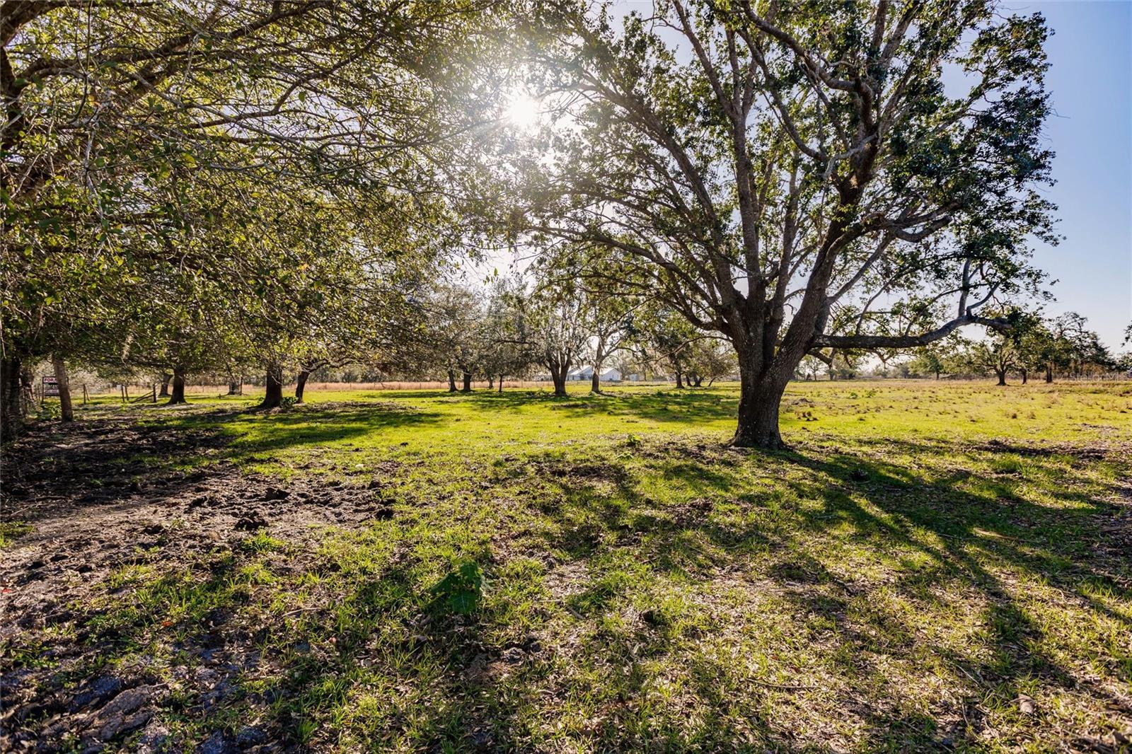 Details for Environmental Lab Street, ARCADIA, FL 34266