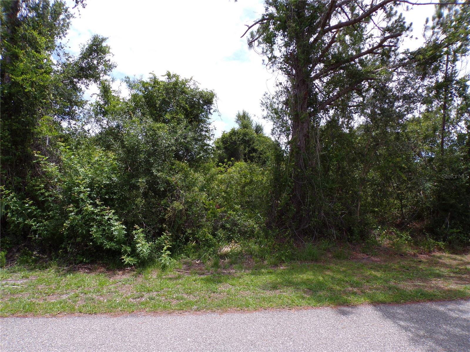 Image 9 of 12 For Embassy Road