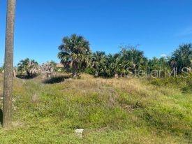 Image 12 of 22 For 14272 Aurella Circle