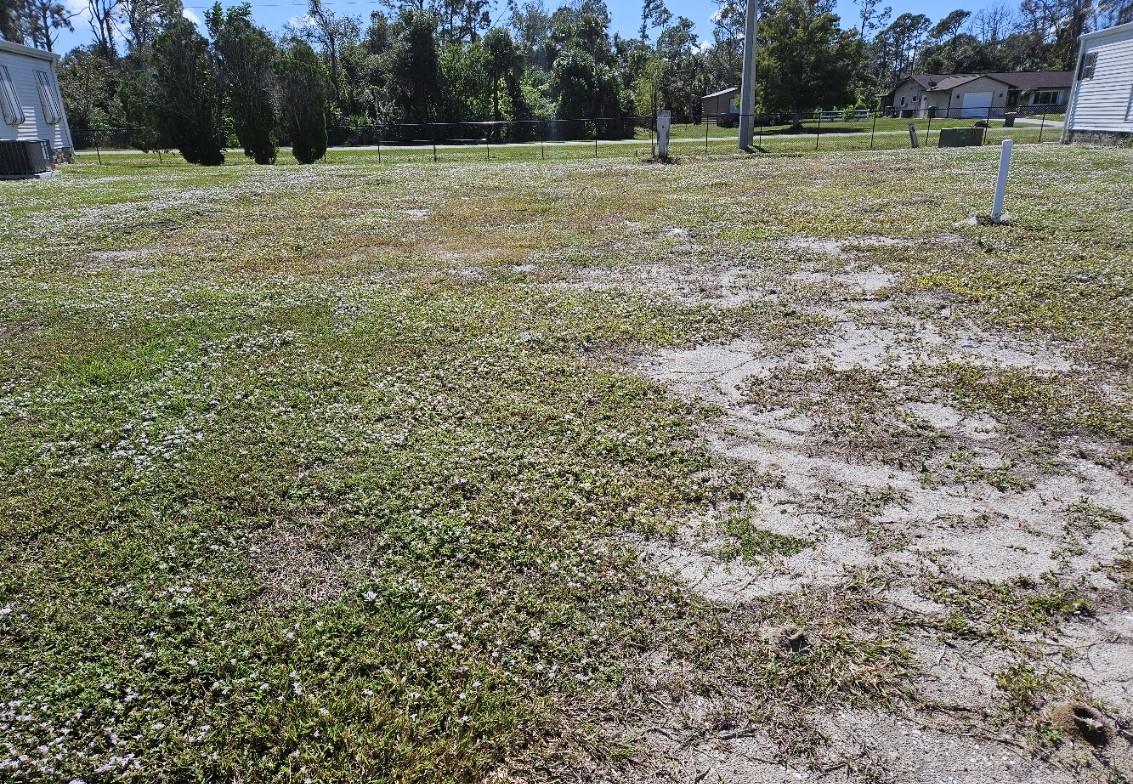 Image 2 of 9 For 5156 Palena Boulevard