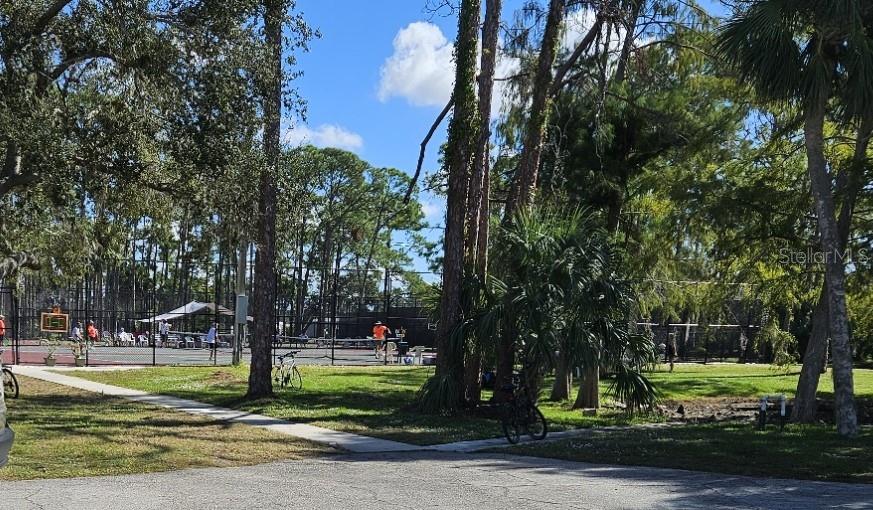 Image 4 of 9 For 5156 Palena Boulevard