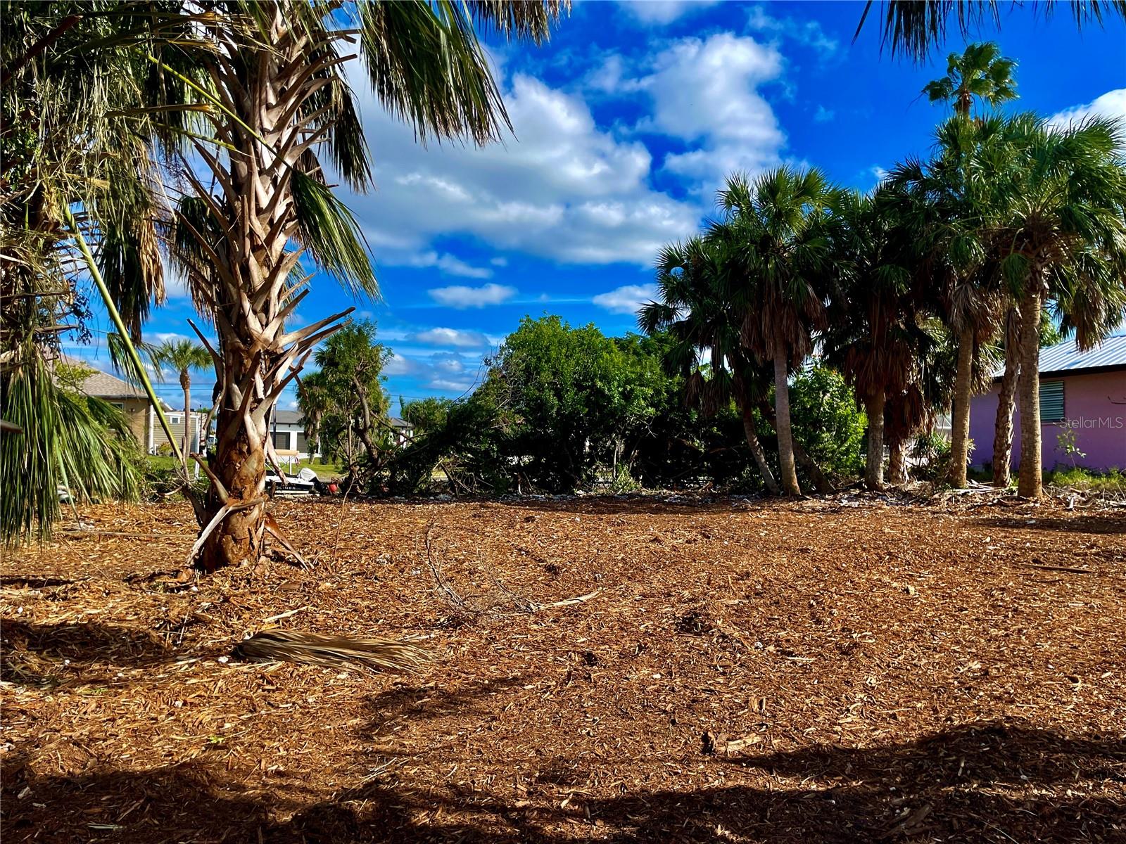 Image 3 of 18 For 4114 Palm Drive
