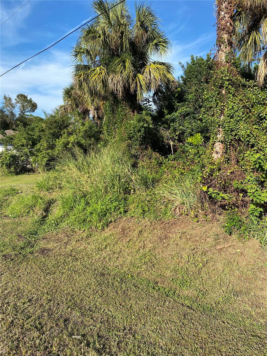 Image 2 of 3 For Lot25 Mccorkle Street