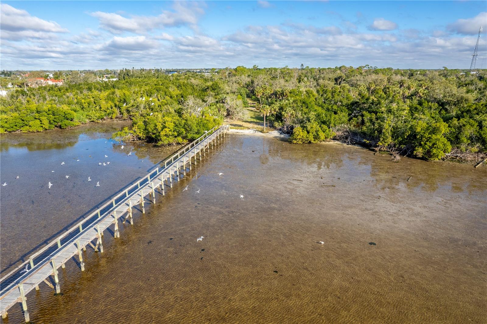 Image 6 of 11 For 22801 Bayshore Road