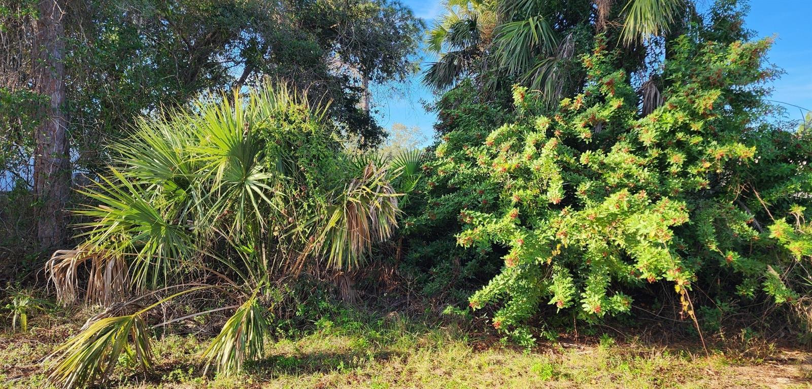 Details for Hurley Avenue, NORTH PORT, FL 34288