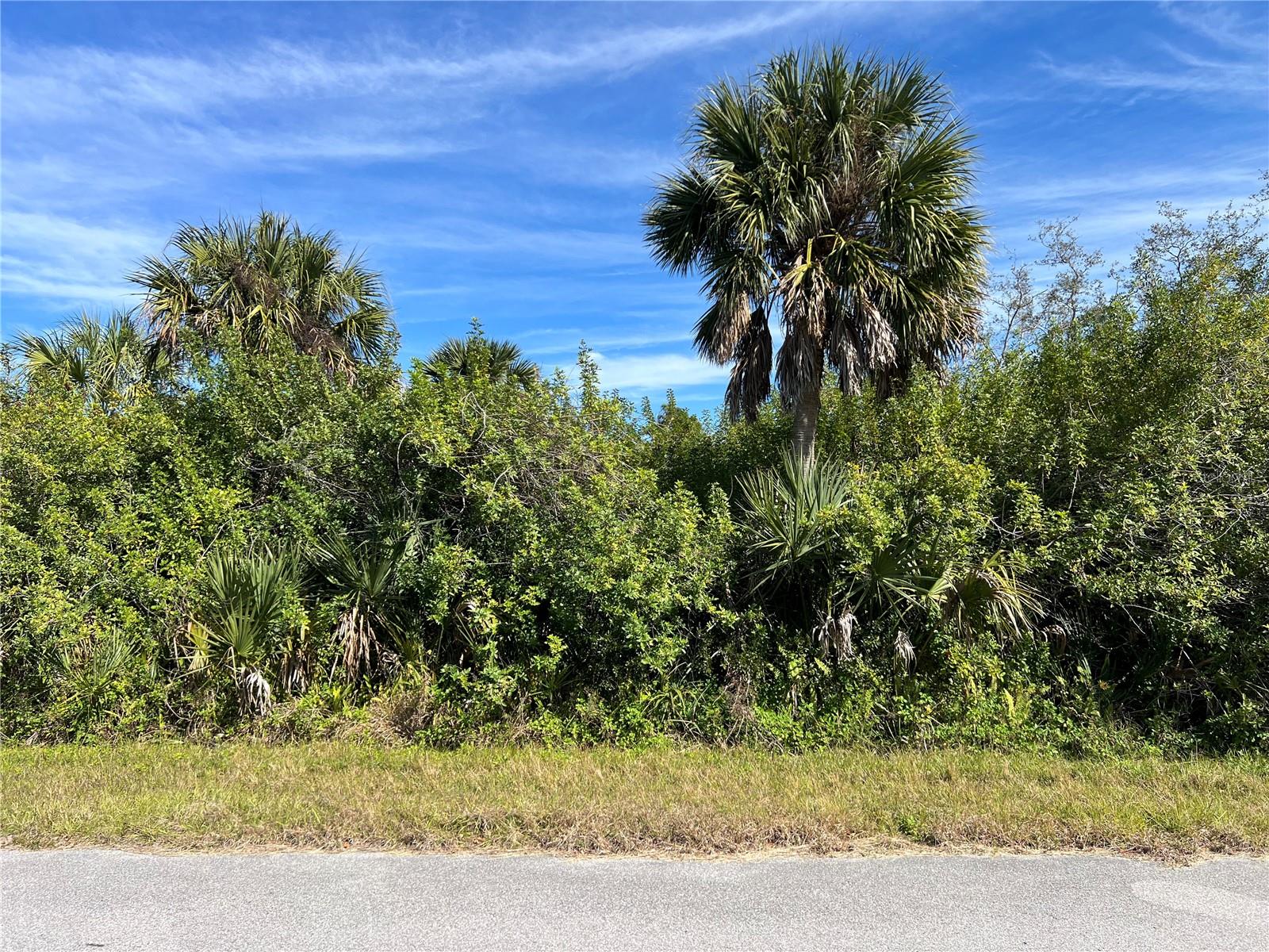 Image 5 of 7 For 13589 Wainwright Drive