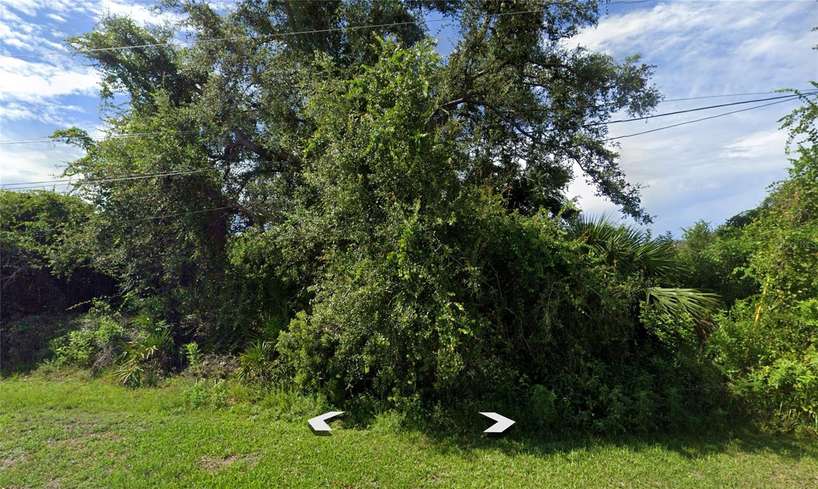 Image 4 of 6 For Americana Avenue
