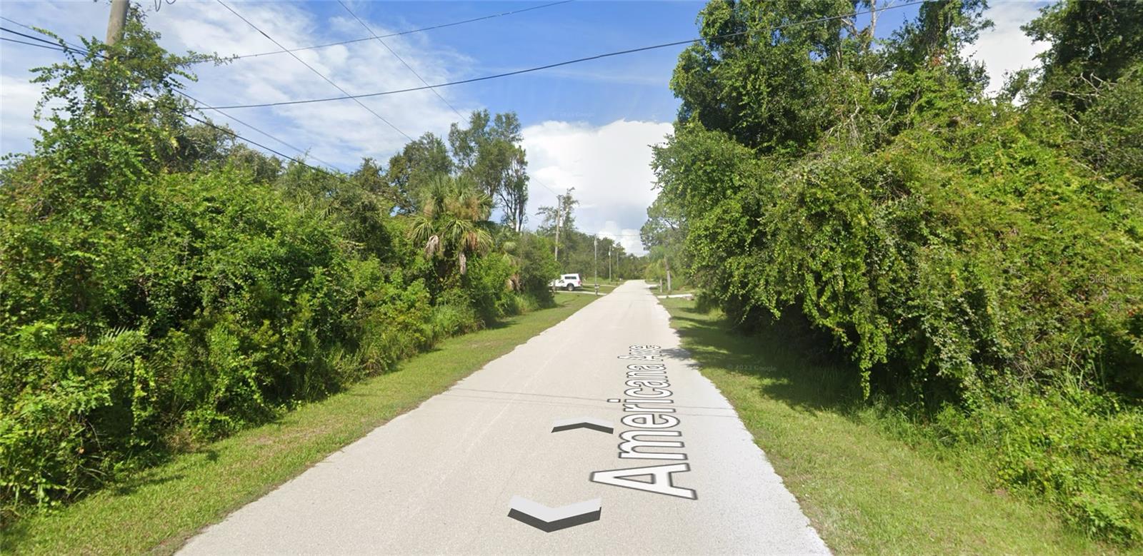 Image 5 of 6 For Americana Avenue