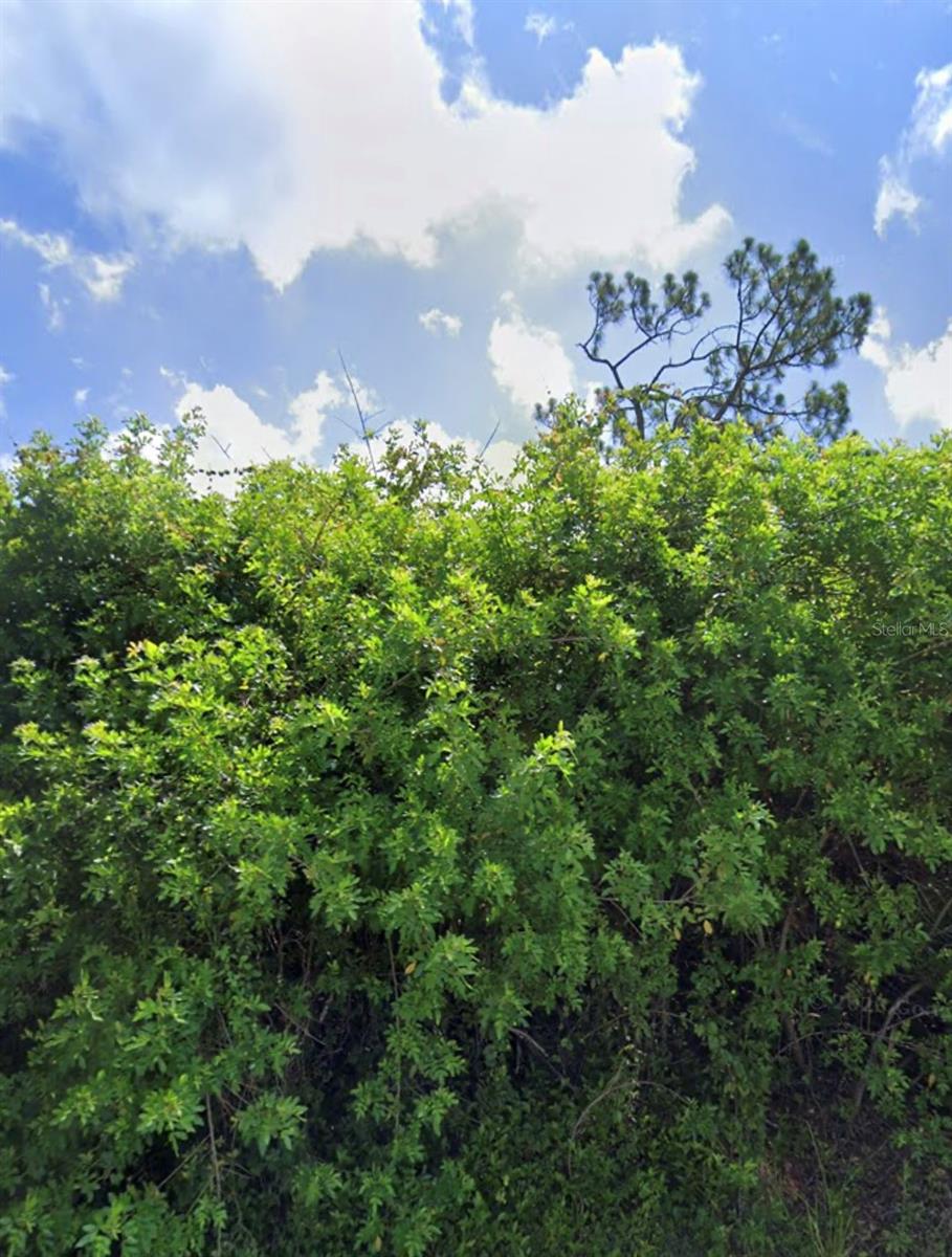 Details for 3518 Yarrow Street, PORT CHARLOTTE, FL 33981