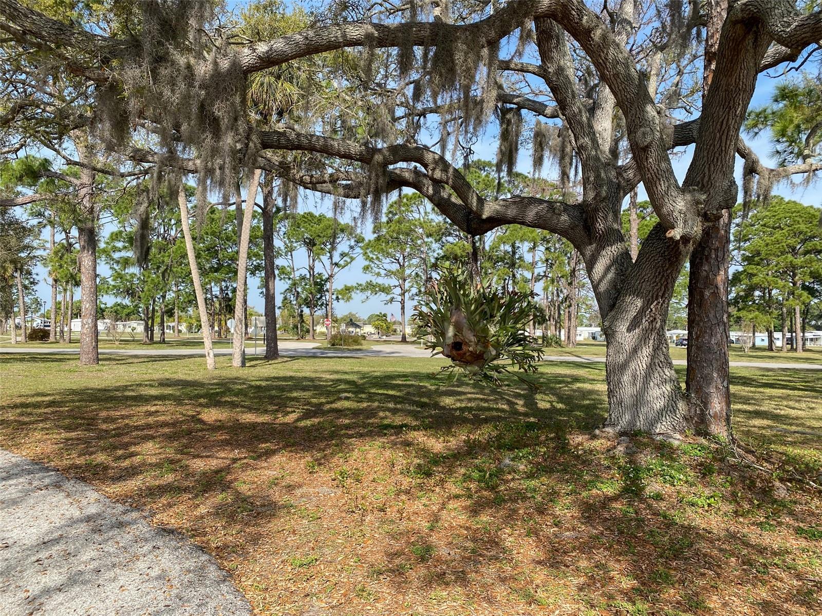 Image 12 of 16 For 5330 Kula Court