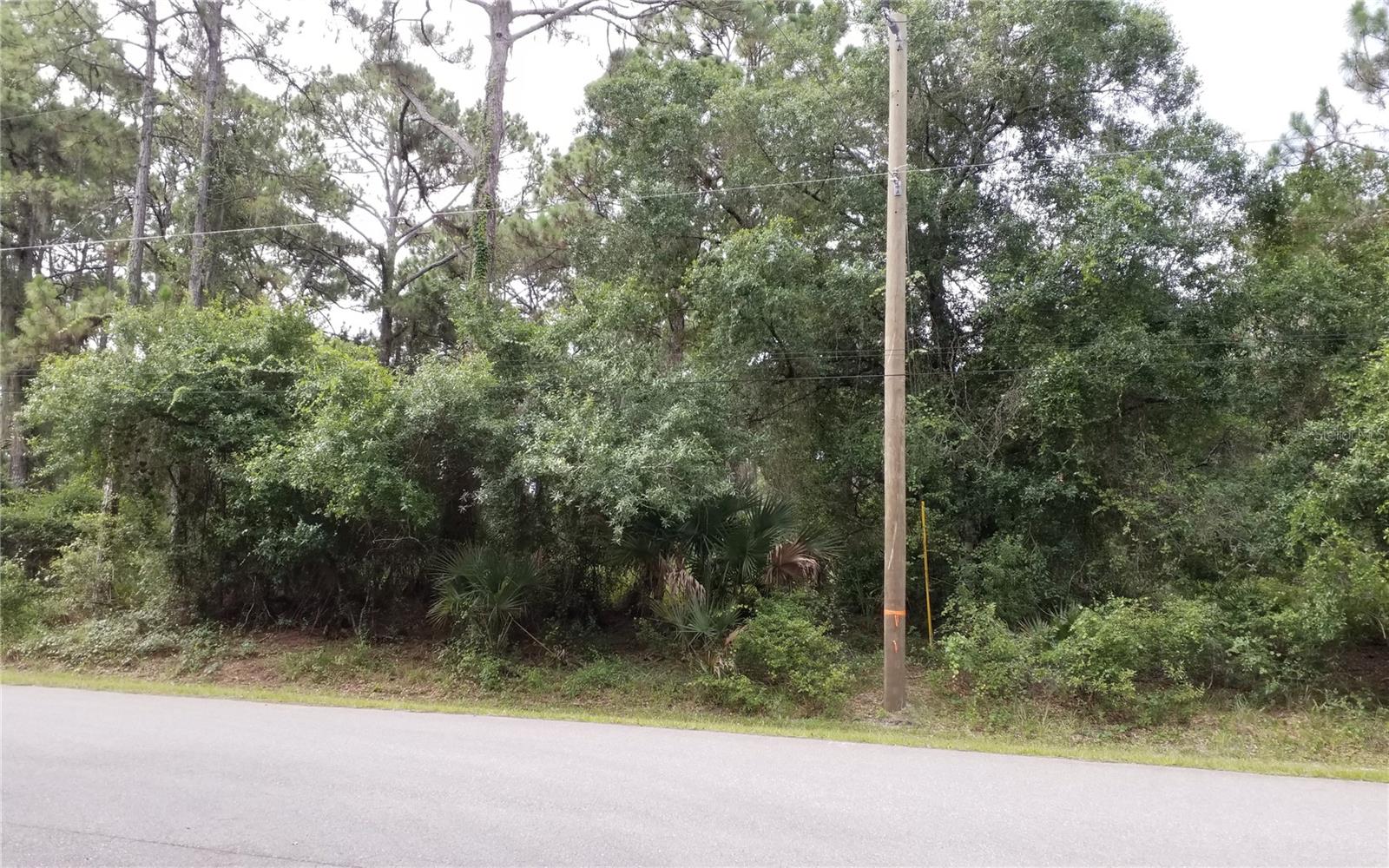 Listing Details for Lot 28 Neon Avenue, NORTH PORT, FL 34291