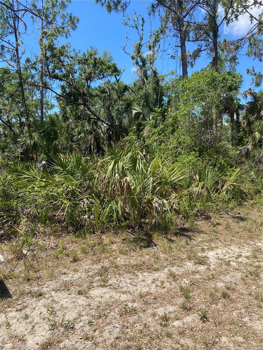 Image 7 of 9 For 17123 Hemlock Ave