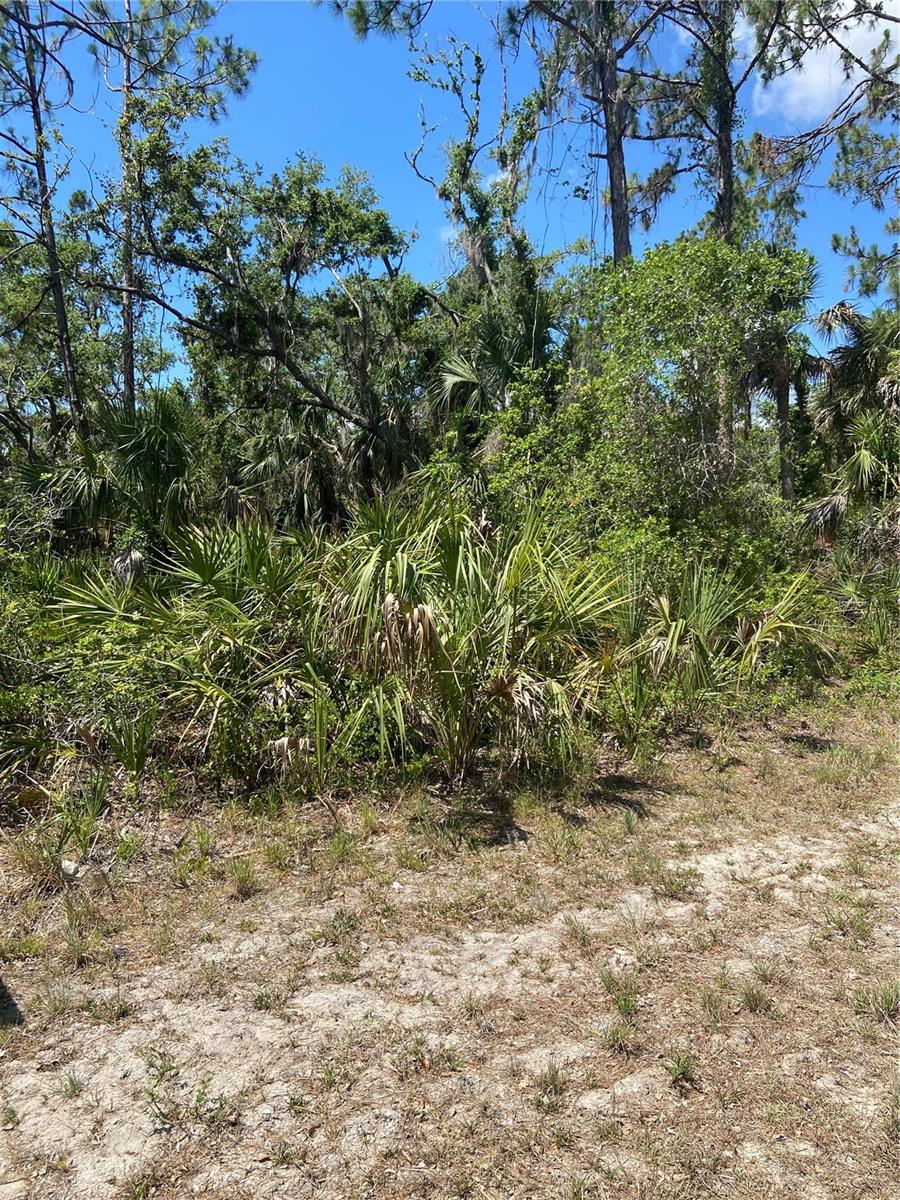 Image 8 of 9 For 17123 Hemlock Ave