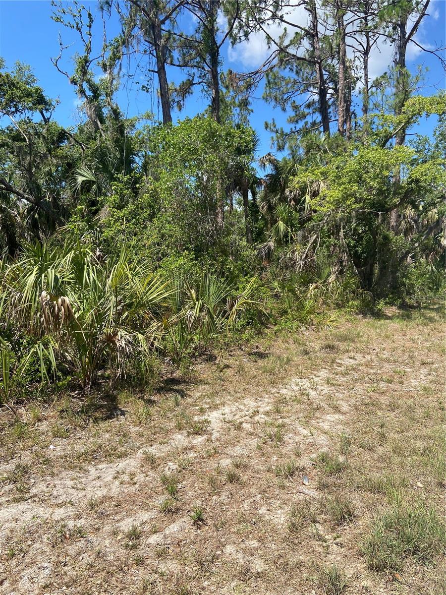 Image 9 of 9 For 17123 Hemlock Ave