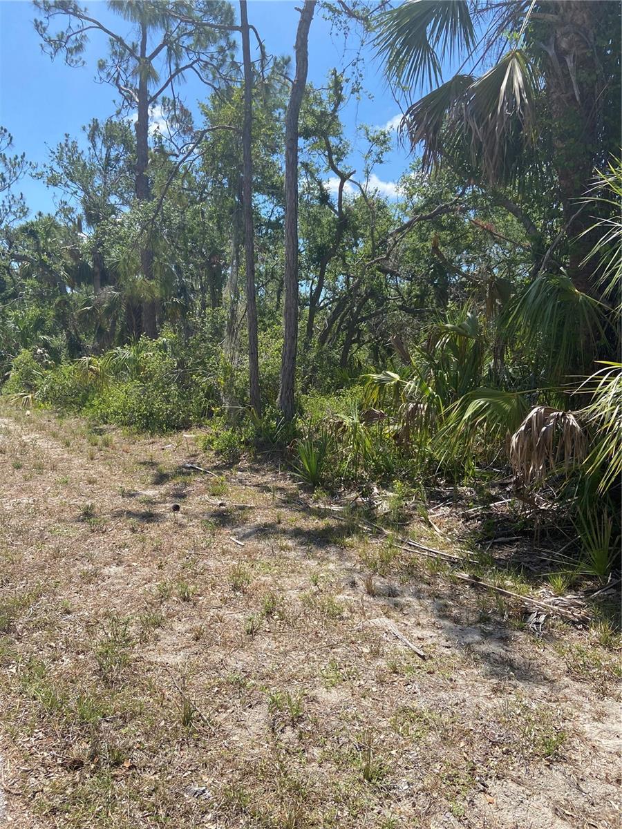 Image 5 of 9 For 17115 Hemlock Ave