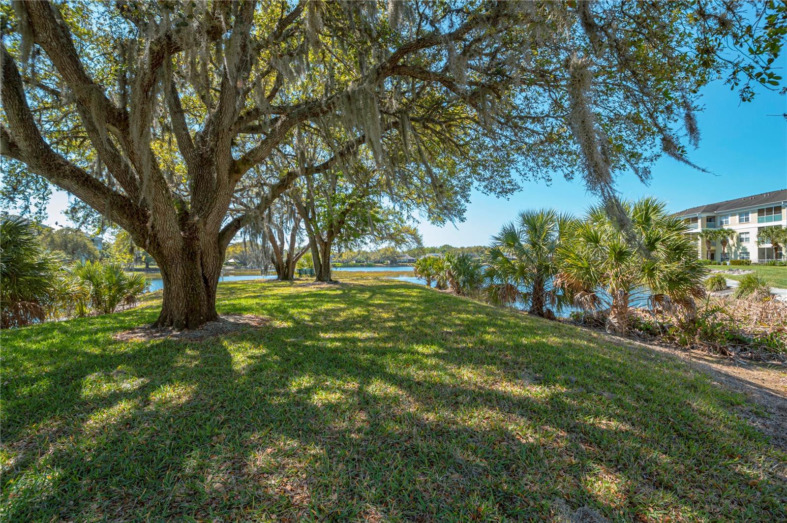 Image 28 of 64 For 19345 Water Oak Drive 305