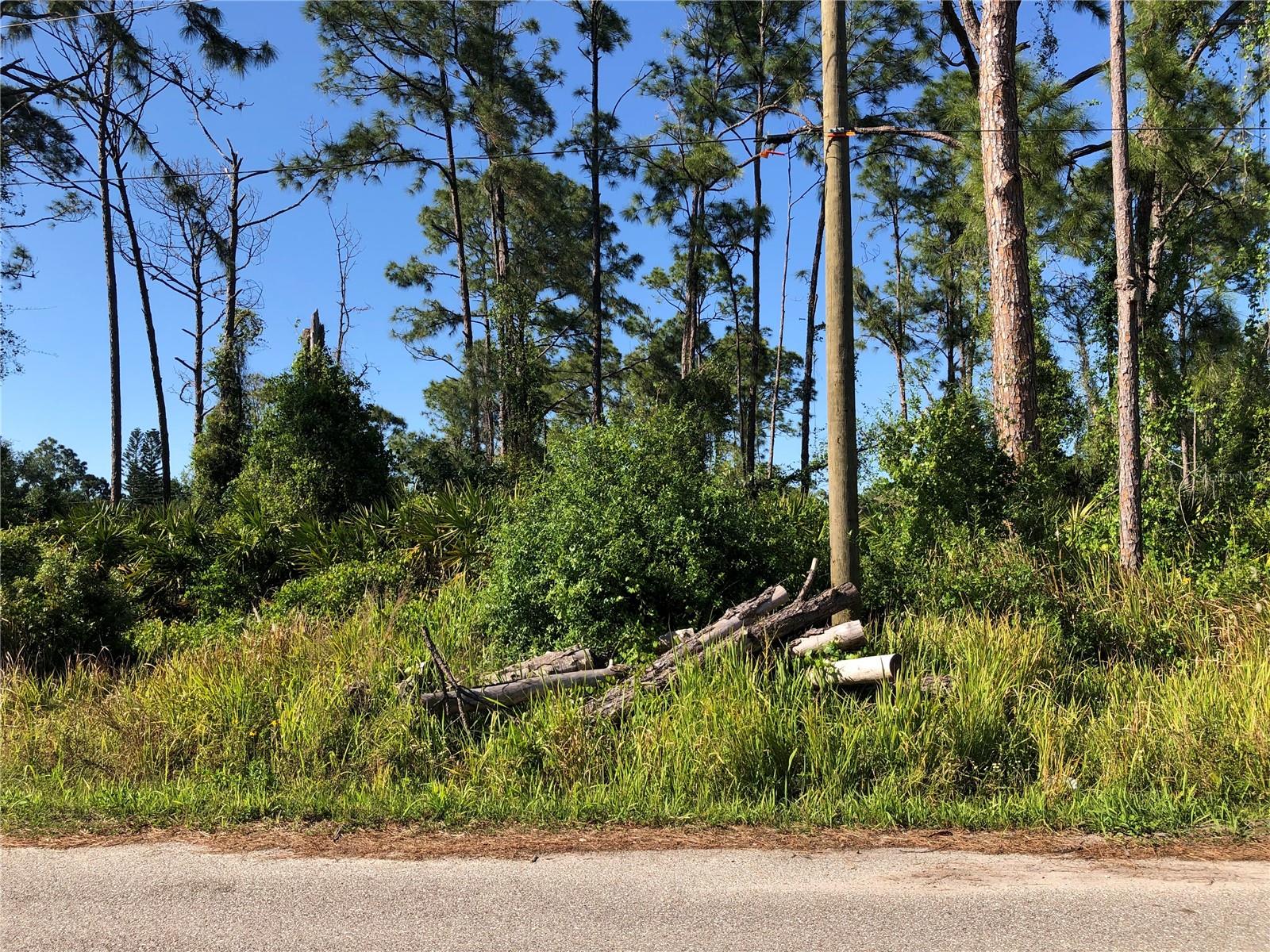 Details for Dandurand Avenue, NORTH PORT, FL 34291