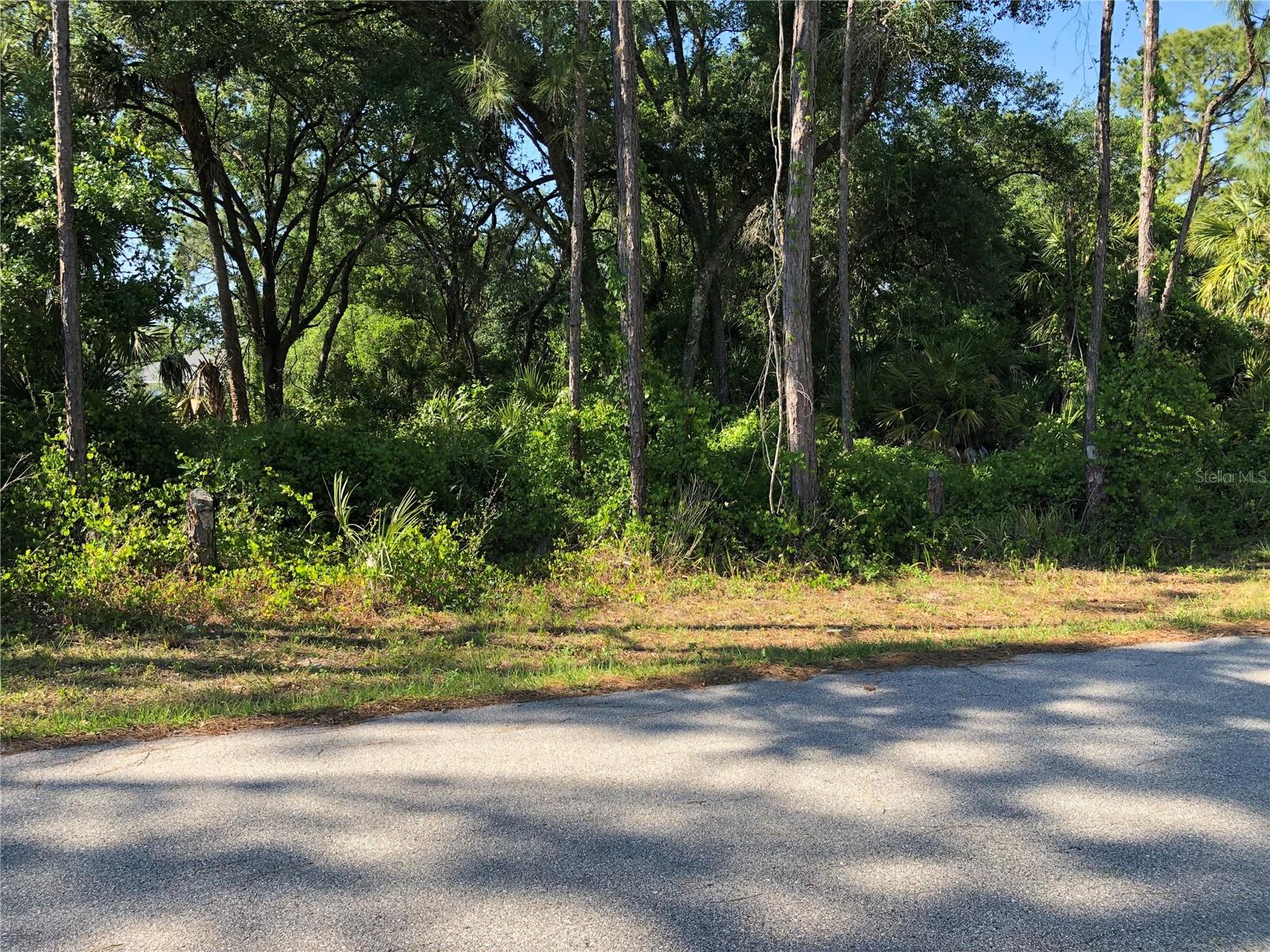 Image 4 of 5 For Wilburn Terrace