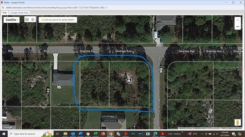 Listing Details for 12195 & 12185 Diversey Avenue, PORT CHARLOTTE, FL 33981