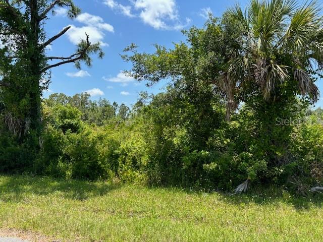 Image 3 of 3 For 2357 Remagen Street