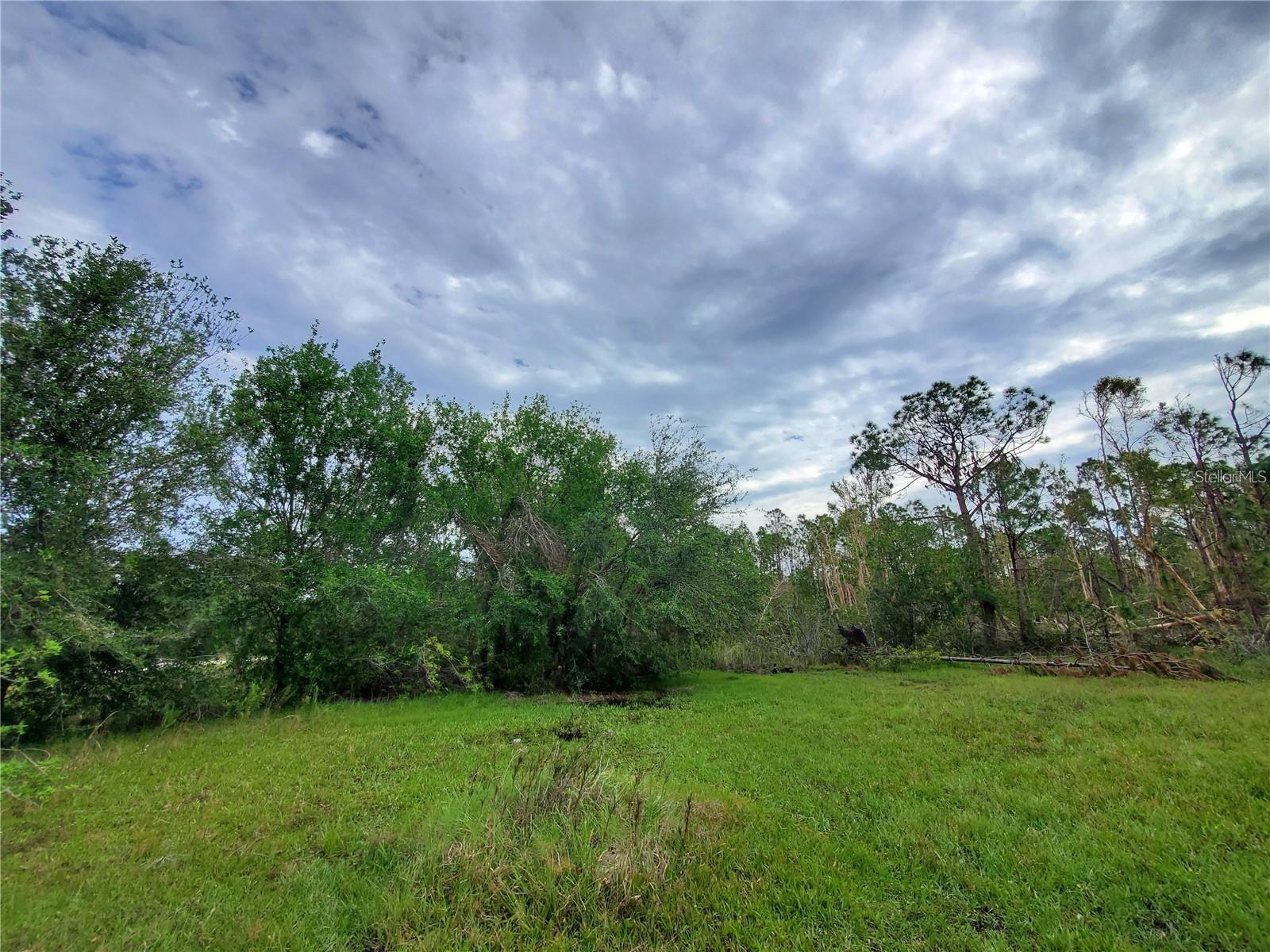 Image 5 of 17 For 28275 Morningside Drive