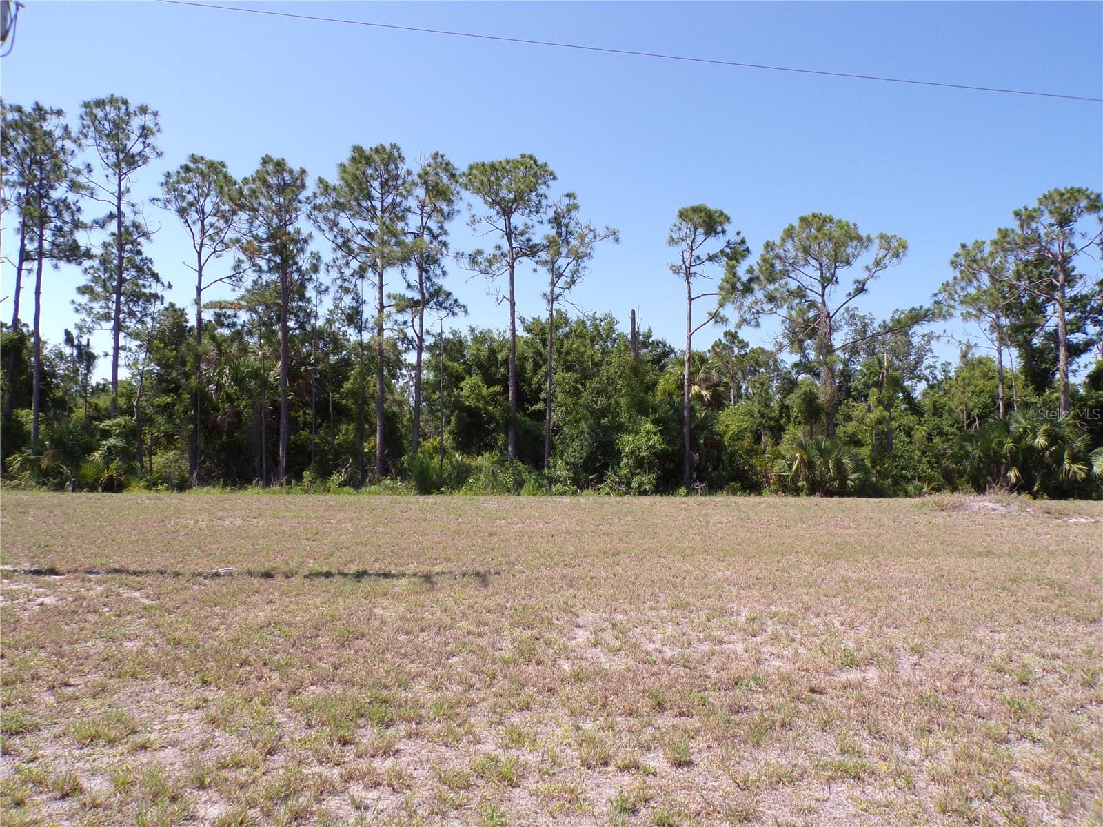 Image 11 of 18 For 25051 Doredo Drive