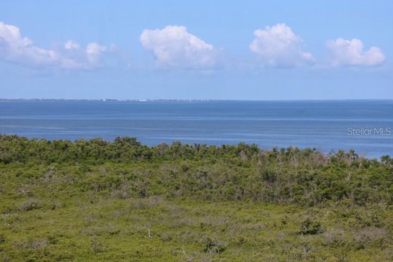 Image 7 of 36 For 3191 Matecumbe Key Road 701