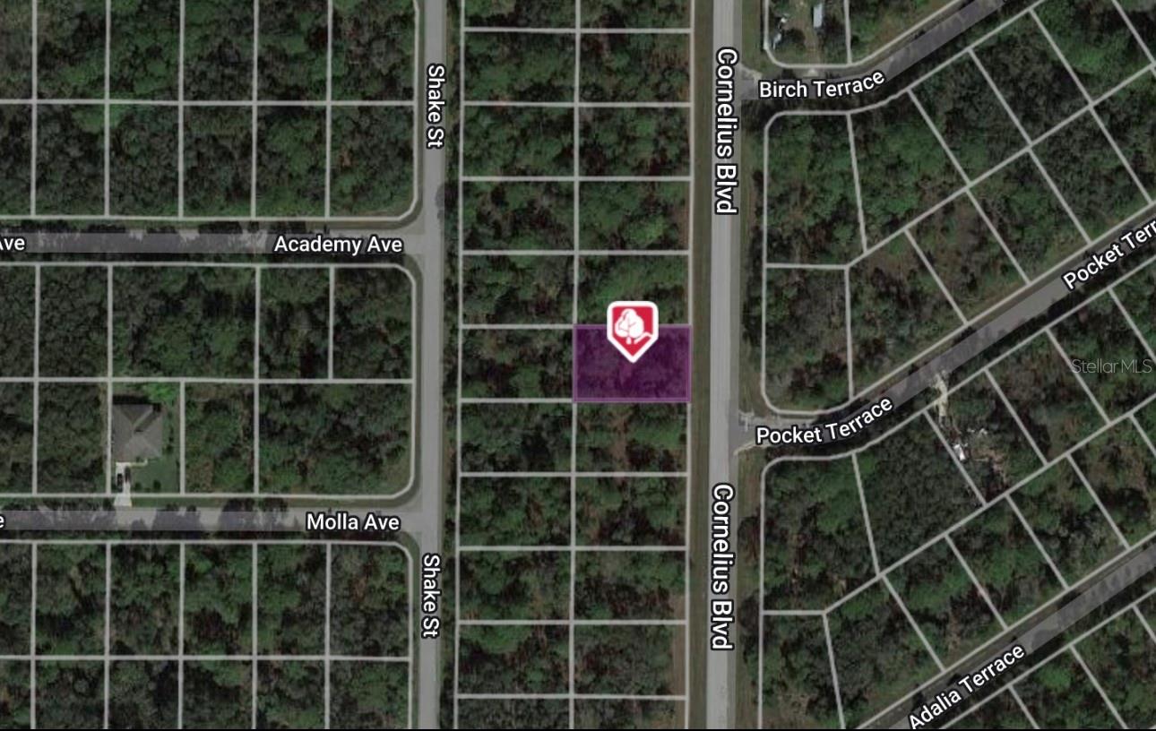Details for 1323 Cornelius Boulevard, PORT CHARLOTTE, FL 33953