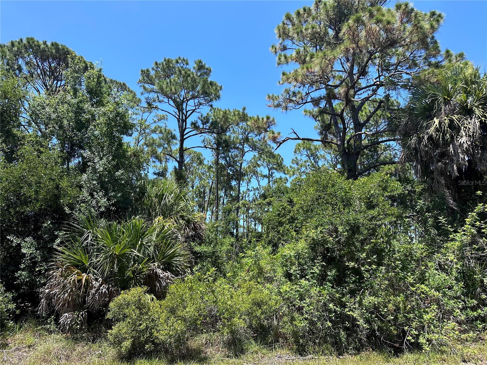 Image 4 of 5 For 18272 Placid Avenue