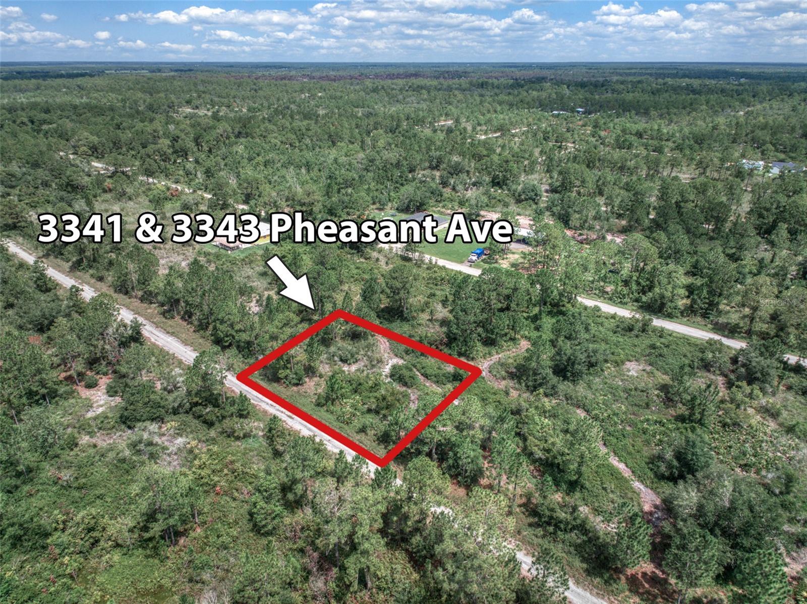 Details for 3341 Pheasant Avenue, LAKE PLACID, FL 33852