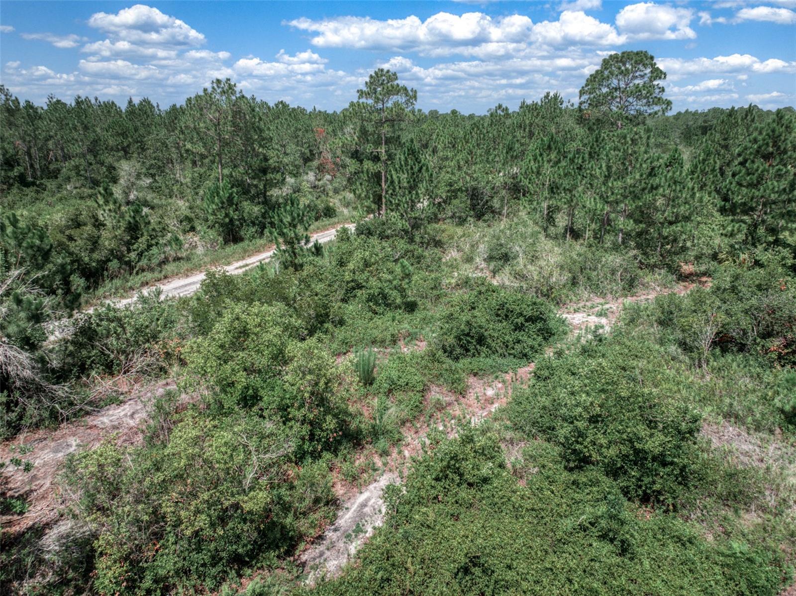 Listing photo id 16 for 3341 Pheasant Avenue