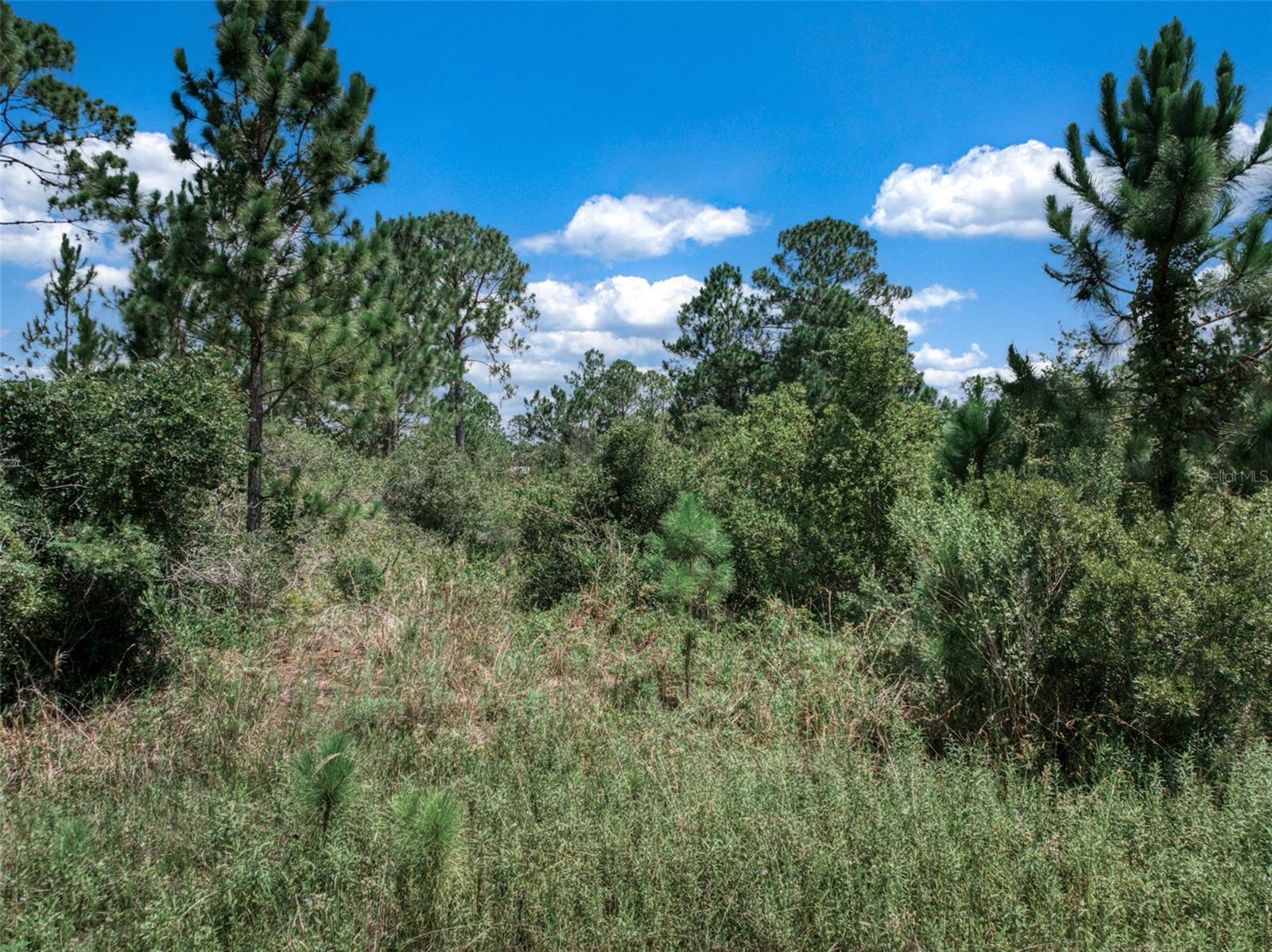 Listing photo id 18 for 3341 Pheasant Avenue