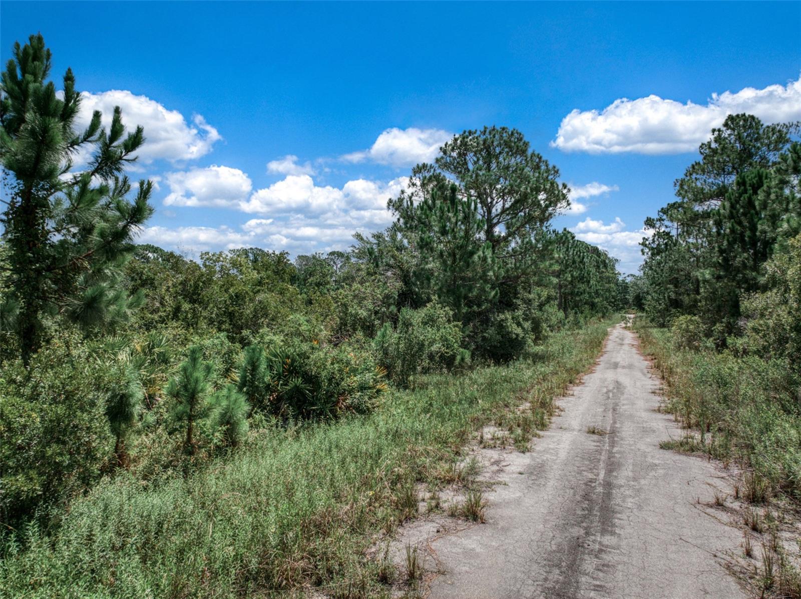 Listing photo id 19 for 3341 Pheasant Avenue