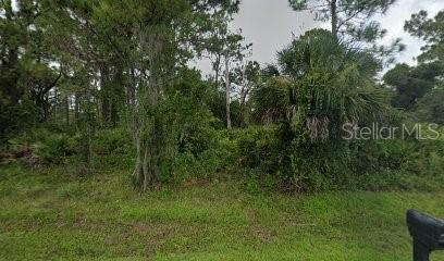 Listing Details for 13360 Wolf Avenue, PORT CHARLOTTE, FL 33953