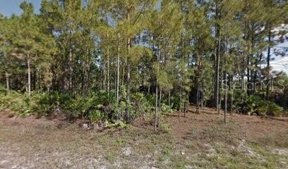 Listing Details for 461 Lackey Avenue S, LEHIGH ACRES, FL 33974