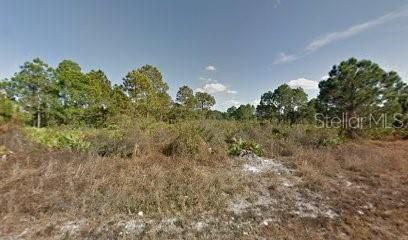 Details for 241 Nancy Avenue S, LEHIGH ACRES, FL 33974
