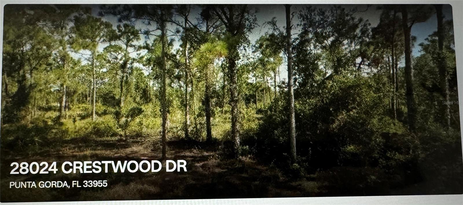 Details for 28024 Crestwood Drive, PUNTA GORDA, FL 33955