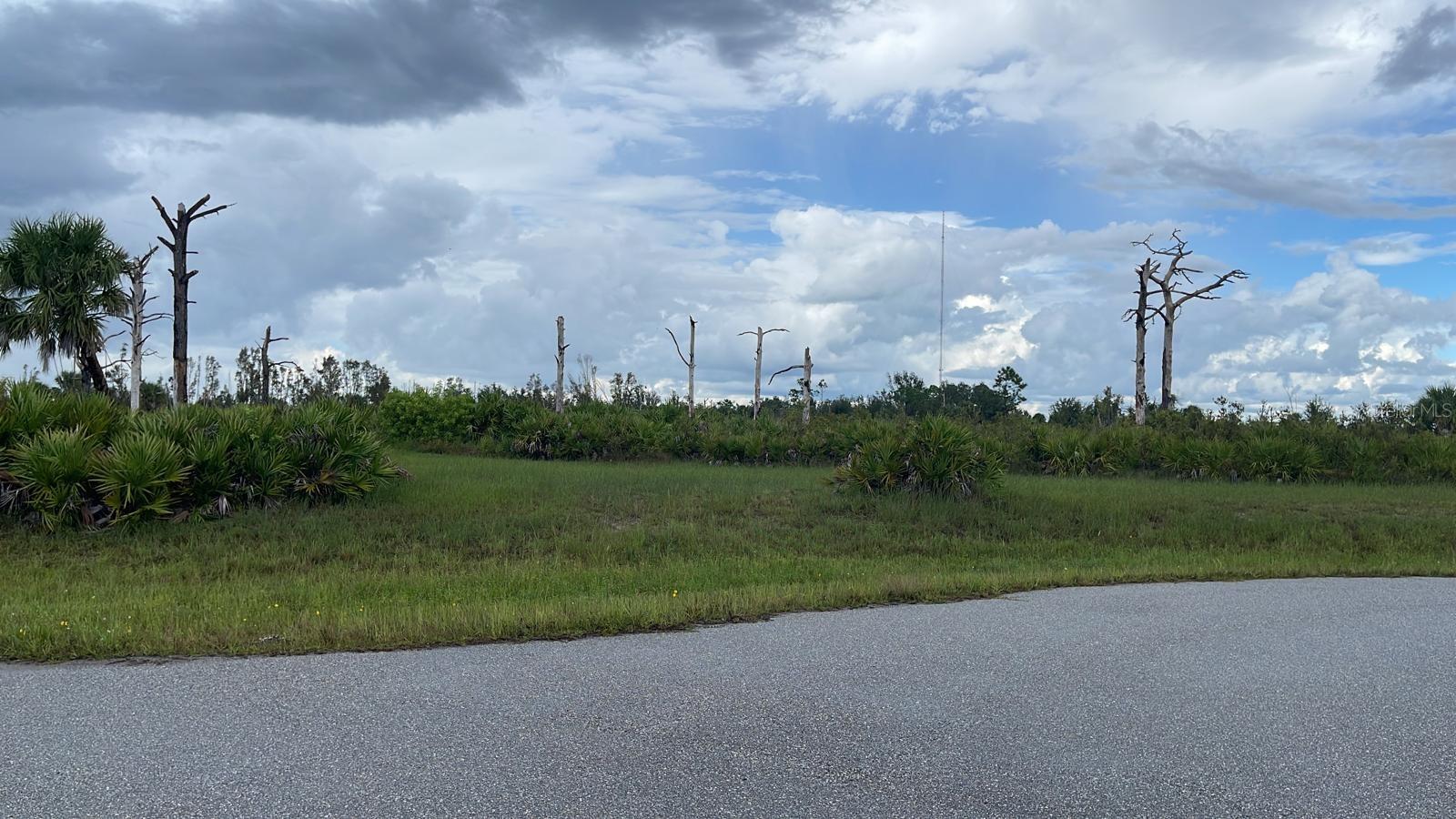 Details for 20 Point Court, PLACIDA, FL 33946