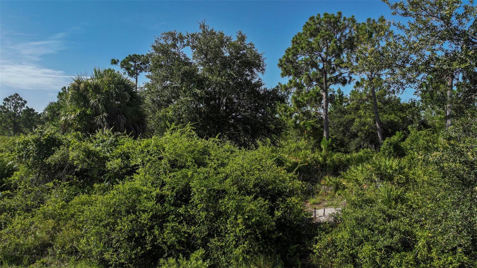 Image 46 of 46 For 12189 Grace Avenue