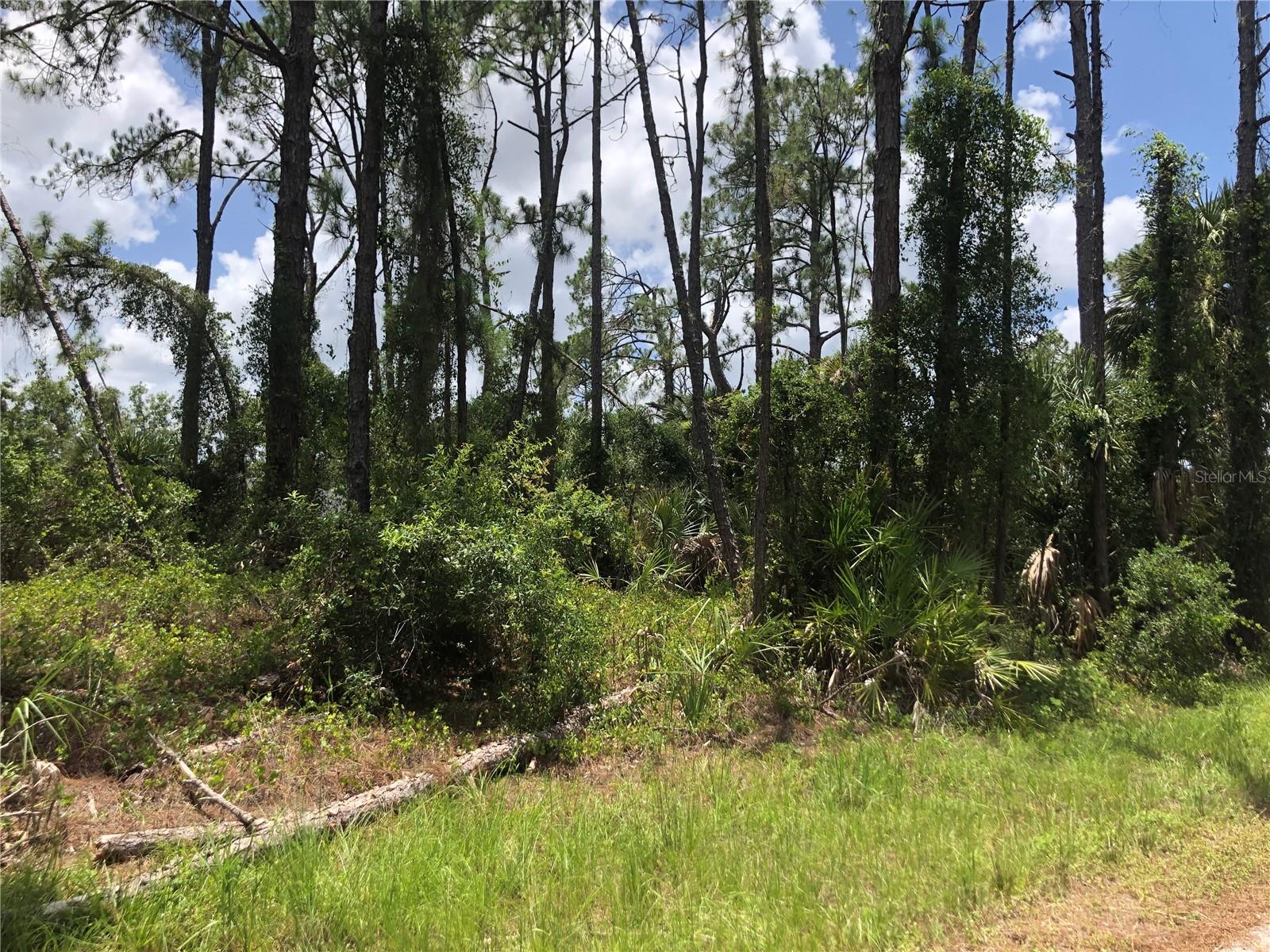 Image 2 of 3 For Apricola Road