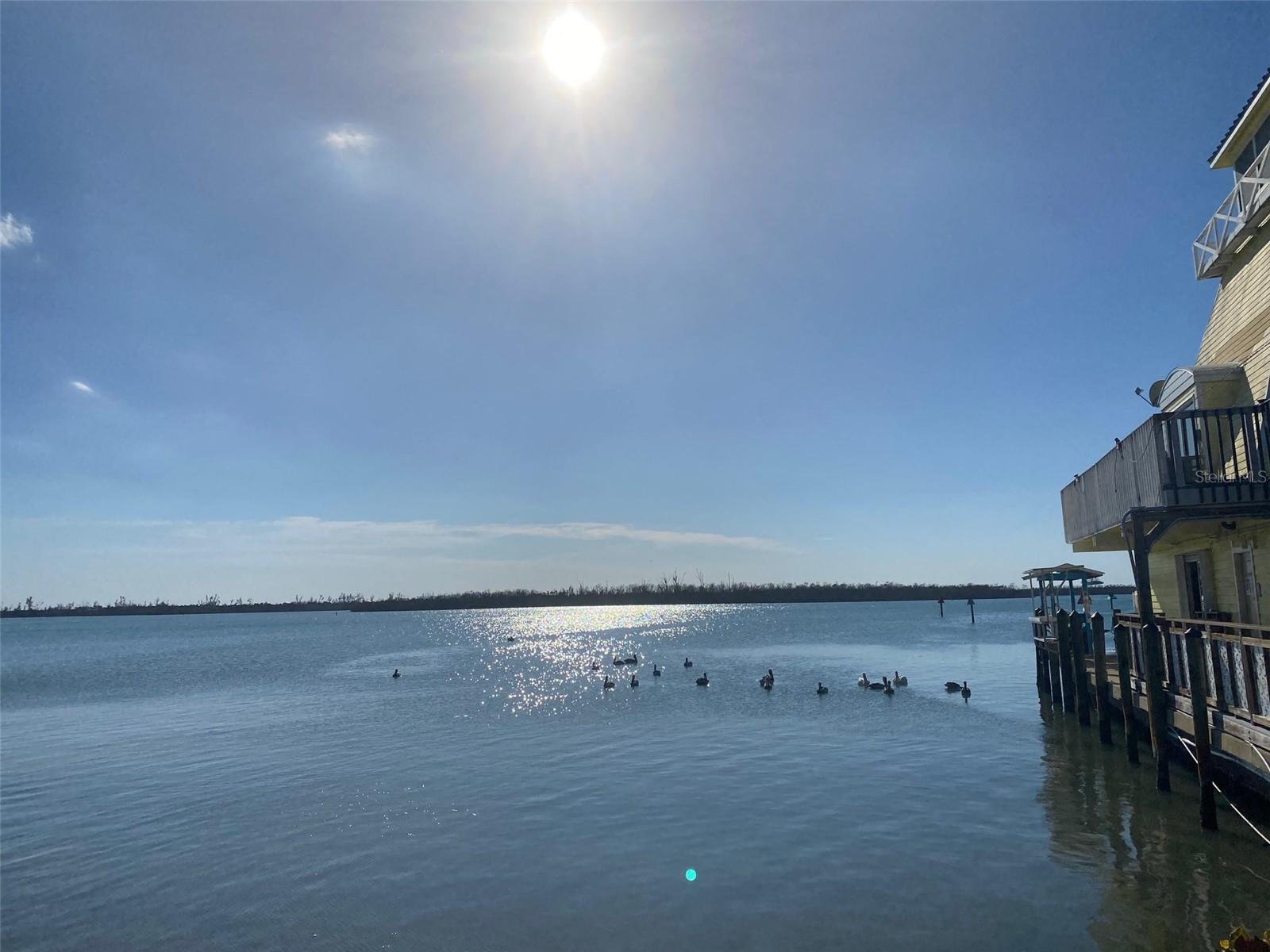 Image 5 of 8 For Dalewood Circle